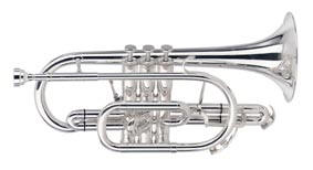 Cornet